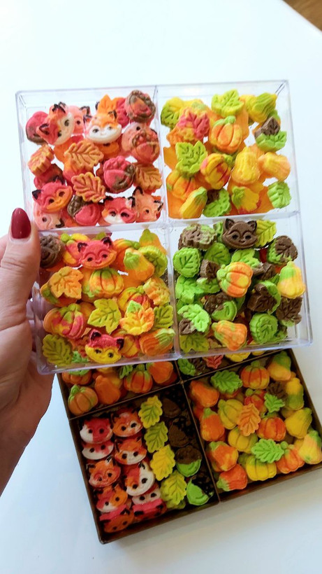 قند رنگی و تزئینی فانتزی میوه ای تم پاییزه 4۳۰گرمی