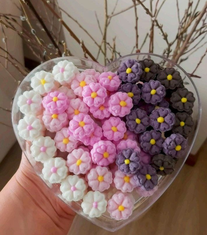 پنج قلبی